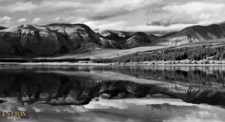 SHADOWS REFLECTIONS