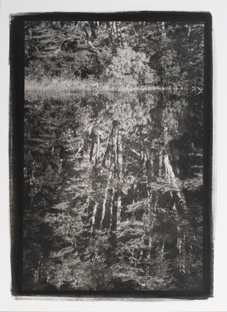 Ilusión Platinum Palladium